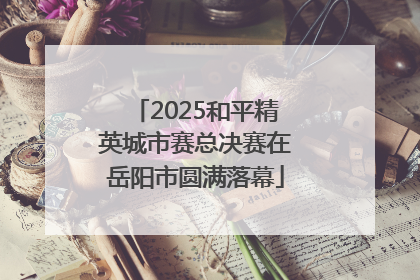 2025和平精英城市赛总决赛在岳阳市圆满落幕