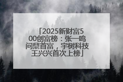 2025新财富500创富榜：张一鸣问鼎首富，宇树科技王兴兴首次上榜