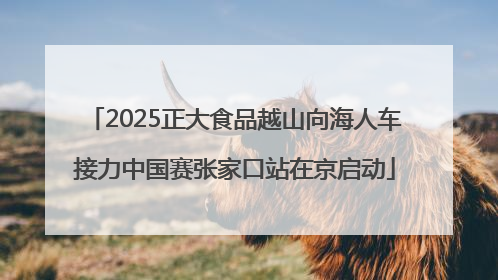 2025正大食品越山向海人车接力中国赛张家口站在京启动