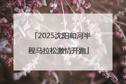 2025沈阳和河半程马拉松激情开跑