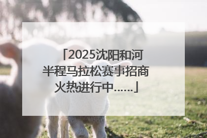 2025沈阳和河半程马拉松赛事招商火热进行中……