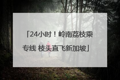 24小时！岭南荔枝乘专线 枝头直飞新加坡
