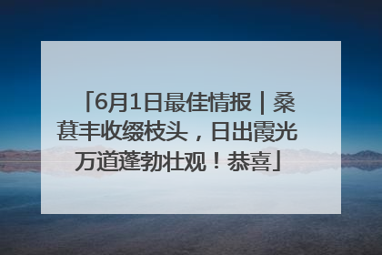 6月1日最佳情报｜桑葚丰收缀枝头，日出霞光万道蓬勃壮观！恭喜