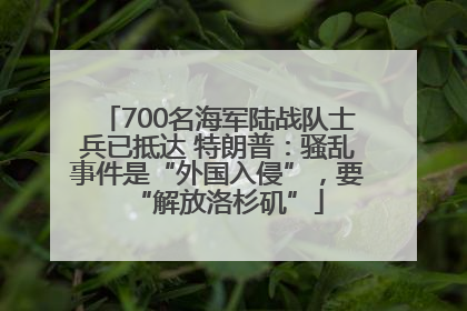 700名海军陆战队士兵已抵达 特朗普：骚乱事件是“外国入侵”，要“解放洛杉矶”