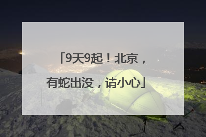 9天9起！北京，有蛇出没，请小心