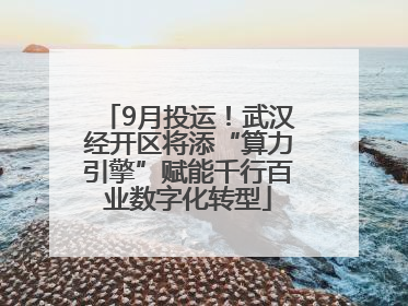 9月投运！武汉经开区将添“算力引擎”赋能千行百业数字化转型