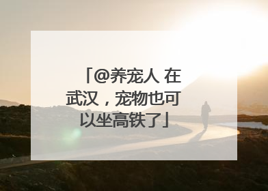 @养宠人 在武汉，宠物也可以坐高铁了