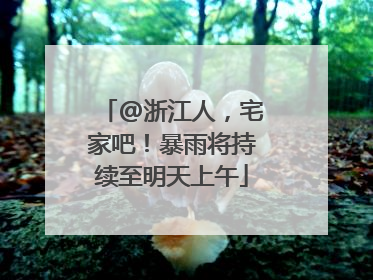 @浙江人，宅家吧！暴雨将持续至明天上午