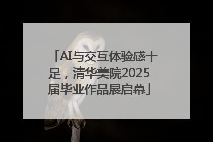 AI与交互体验感十足，清华美院2025届毕业作品展启幕