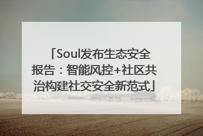 Soul发布生态安全报告：智能风控+社区共治构建社交安全新范式